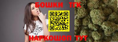 индика Заволжье
