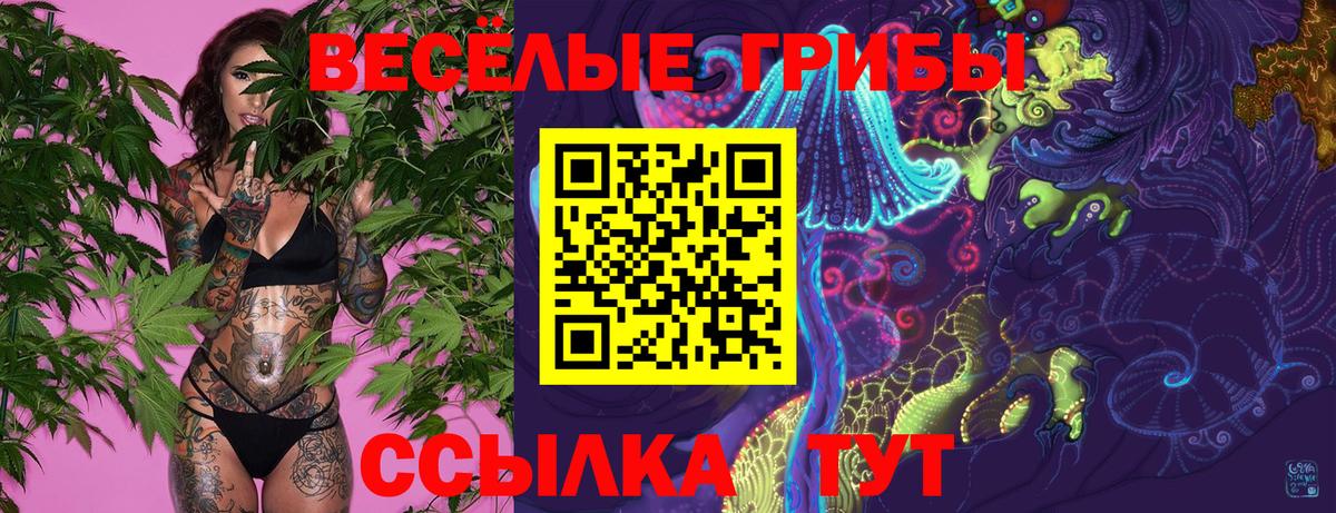 Псилоцибиновые грибы MAGIC MUSHROOMS Лабытнанги