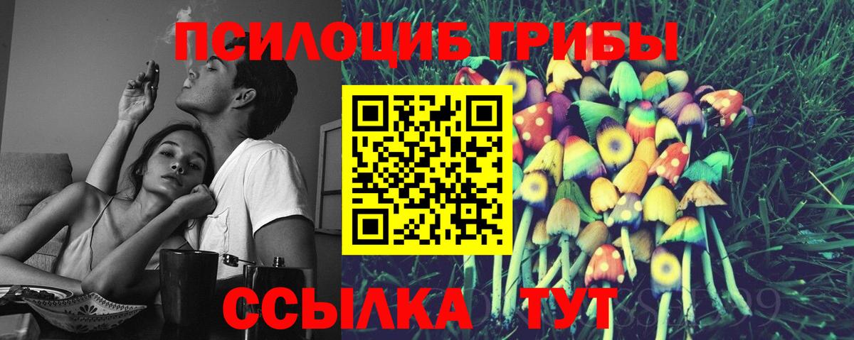 Галлюциногенные грибы Psilocybe  Вход с VPN  купить наркотики цена  Лабытнанги  Галлюциногенные грибы прущие грибы 